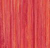 Marmoleum  Striato Colour - Red Roses