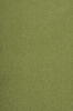 Lys Olivengrøn