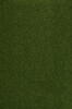 Mørk mosgrøn