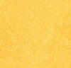 Marmoleum Fresco - Lemon Zest