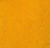 Marmoleum Fresco - Golden Sunset