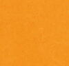 Marmoleum Fresco - Marigold