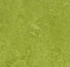 Marmoleum Fresco - Green
