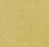Marmoleum Fresco - Mustard
