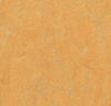 Marmoleum  Real - Golden Saffron