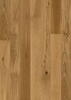 Grand Velvet plank - Oak T09 