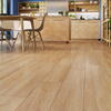 BiClick vinyl klikgulv - Calvia Oak