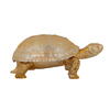 Dekoration Box Turtle