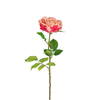 Flower Rose Rosee-White (18 stk.)