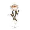 Flower Rose Cream (12 stk.)