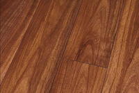 Canyon Koa Perfect Højglans 