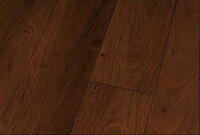 Canyon Andiroba Højglans 