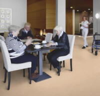 Marmoleum Fresco - Arabian Pearl