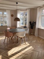 Ask Sildebensparket 16x60x420 mm.