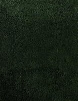 Ege Gloss Bottle Green 