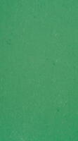 DLW Colorette linoleum, Vivid Green