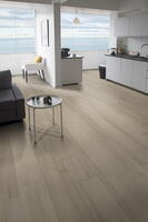 Vinyl Plank, Metropolitan GD VJ9565 